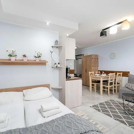 Apartment Charming With Parking And Balcony In By Renters Karpacz