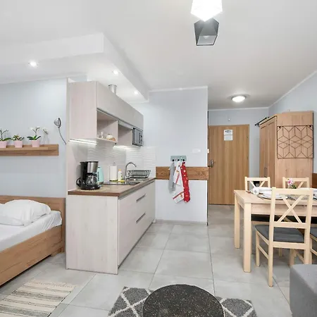 Charming With Parking And Balcony In By Renters Karpacz